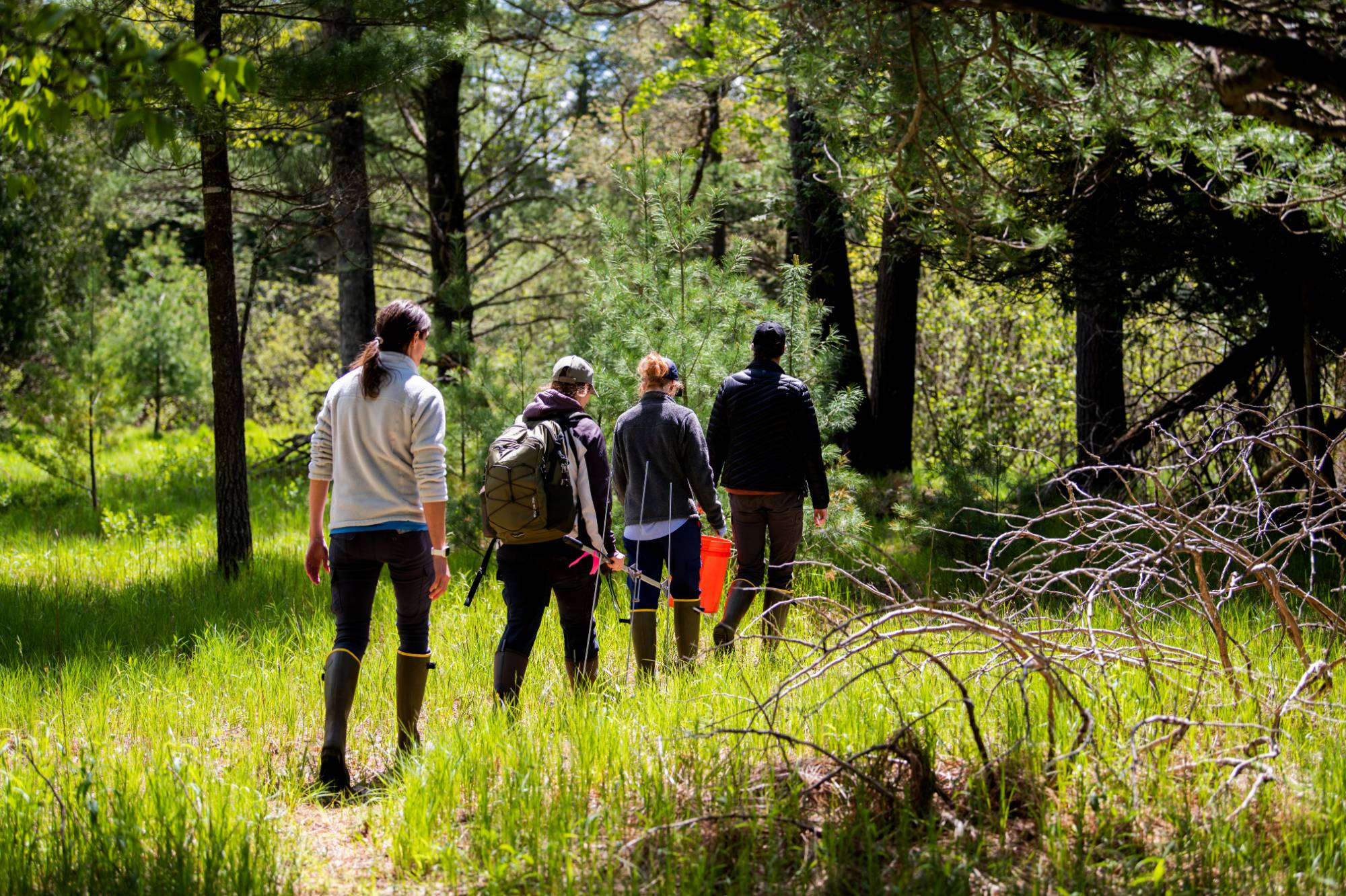 students walking through the woods